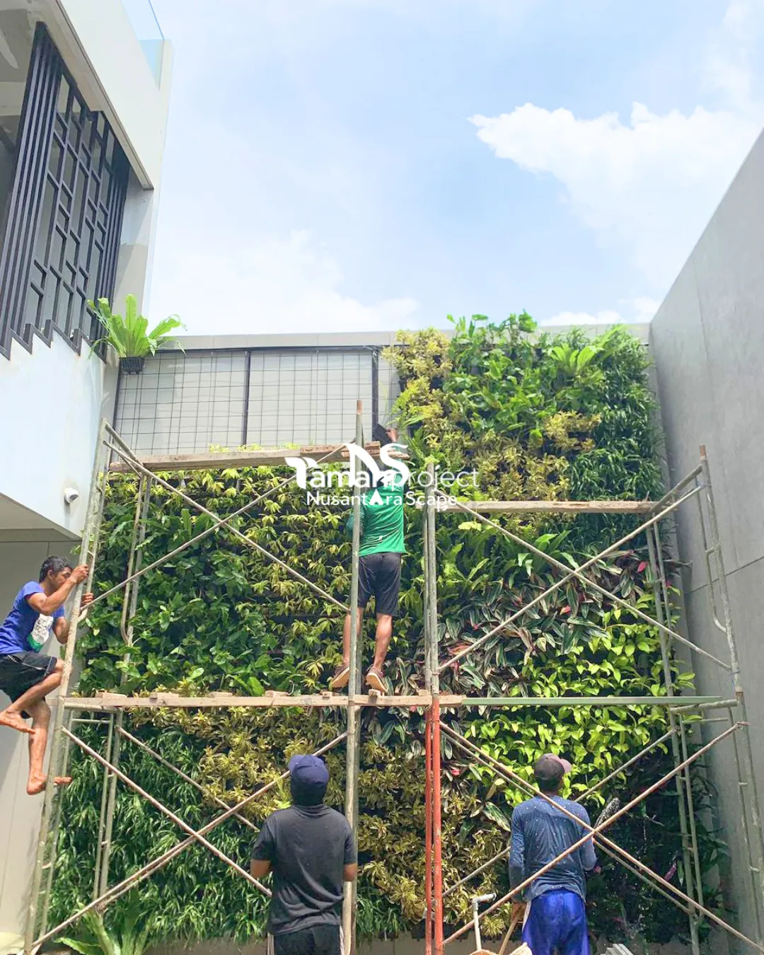 Proyek Vertical Garden POT di BSD - Foto Gallery 5