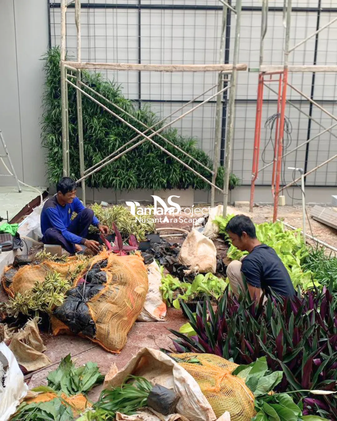 Proyek Vertical Garden POT di BSD - Foto Gallery 3