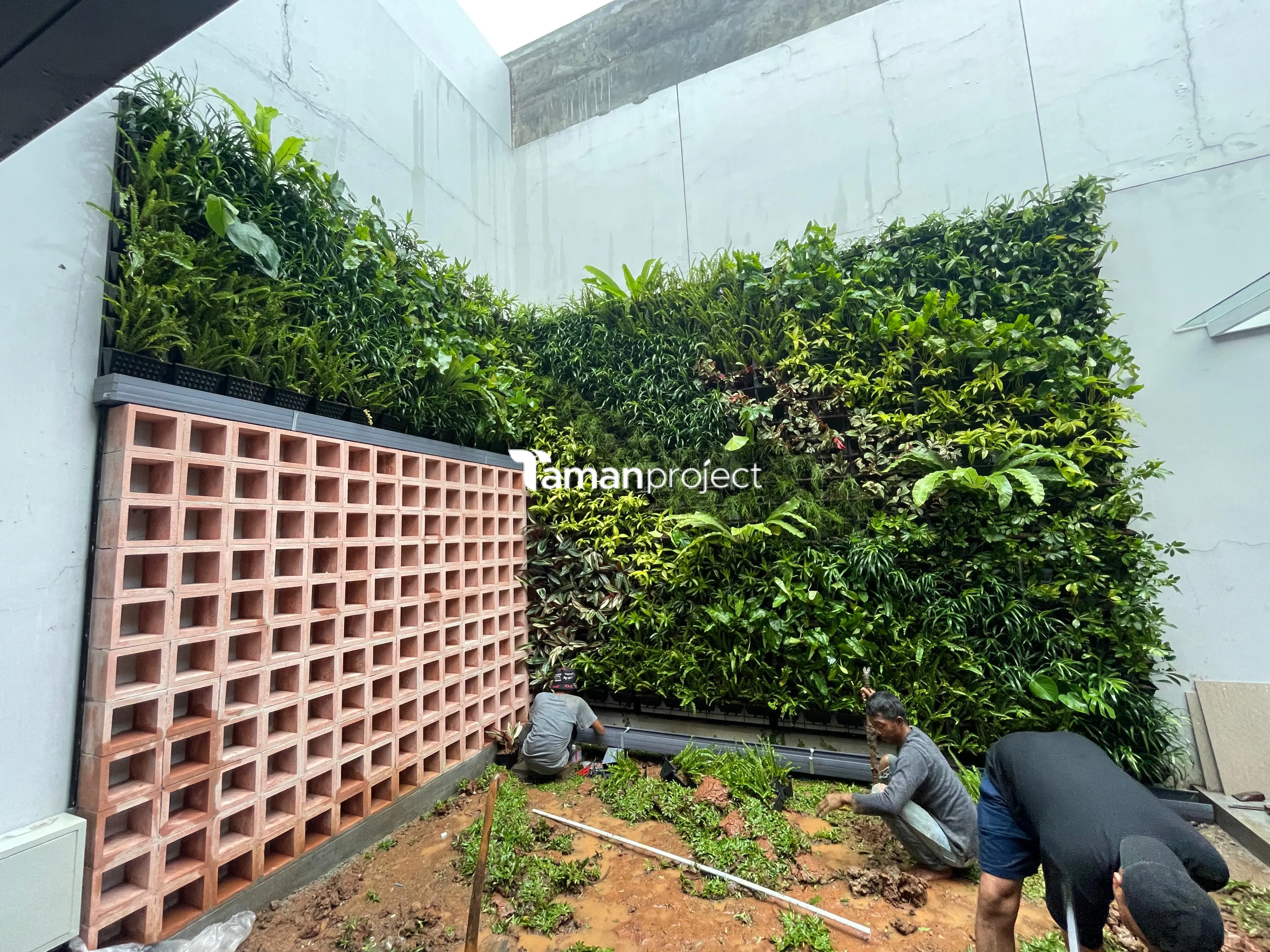 Proyek Vertical Garden Pot by Tamanproject | Ibu Natasha - Quanties BSD
