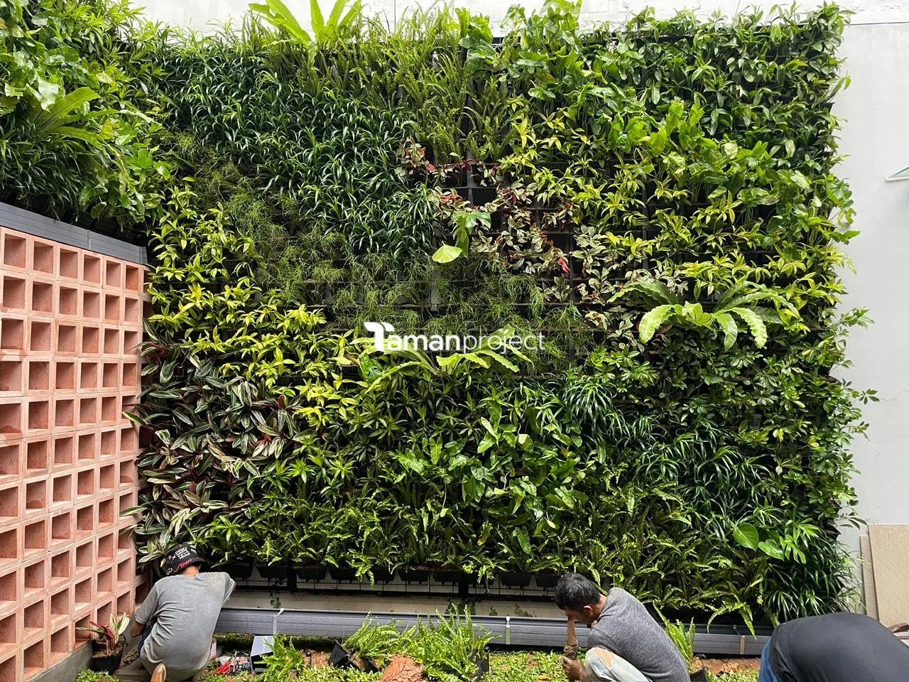 Proyek Vertical Garden Pot by Tamanproject | Ibu Natasha - Quanties BSD