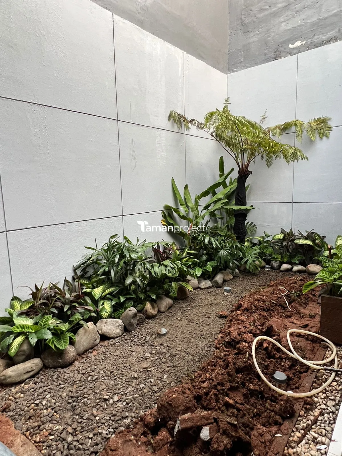 Proyek Taman Kering Tropical di Caspia BSD Pak Doni