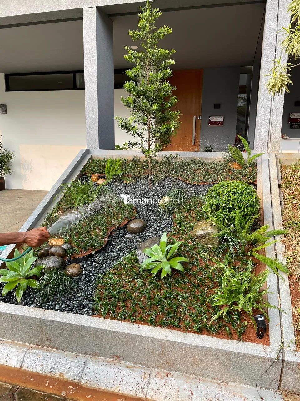 Proyek Taman Kering Tropical di Providence House Ibu Kania