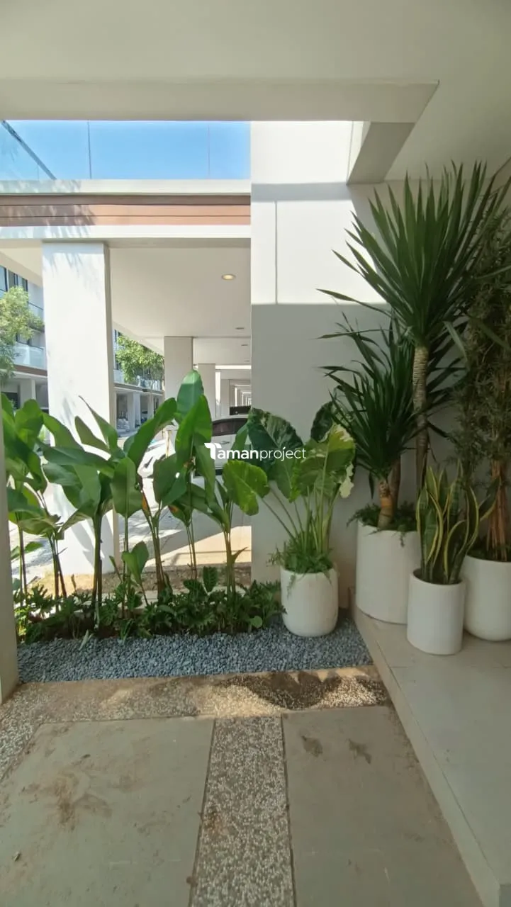 Proyek Taman Tropis Minimalis di South Osaka 7 PIK 2 Pak Hafidz