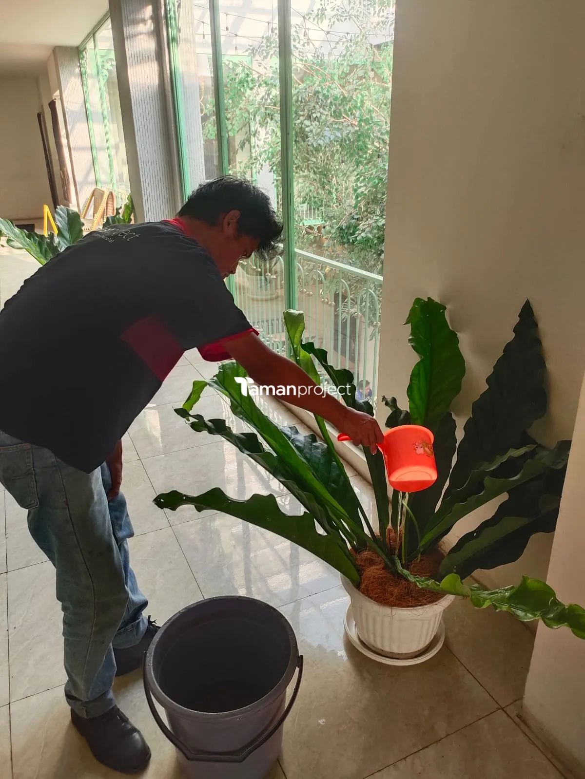 Proyek Perawatan Tanaman Indoor di Roti Romi Menteng