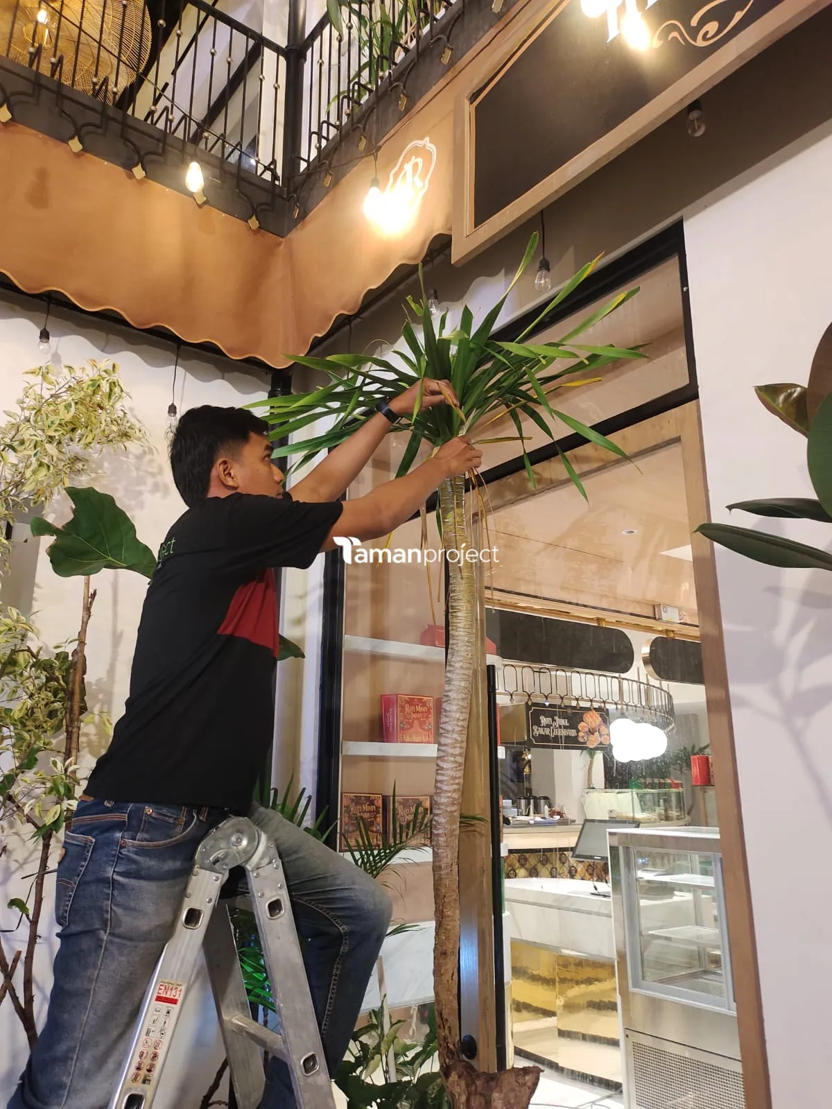 Proyek Perawatan Tanaman Indoor di Roti Romi Menteng
