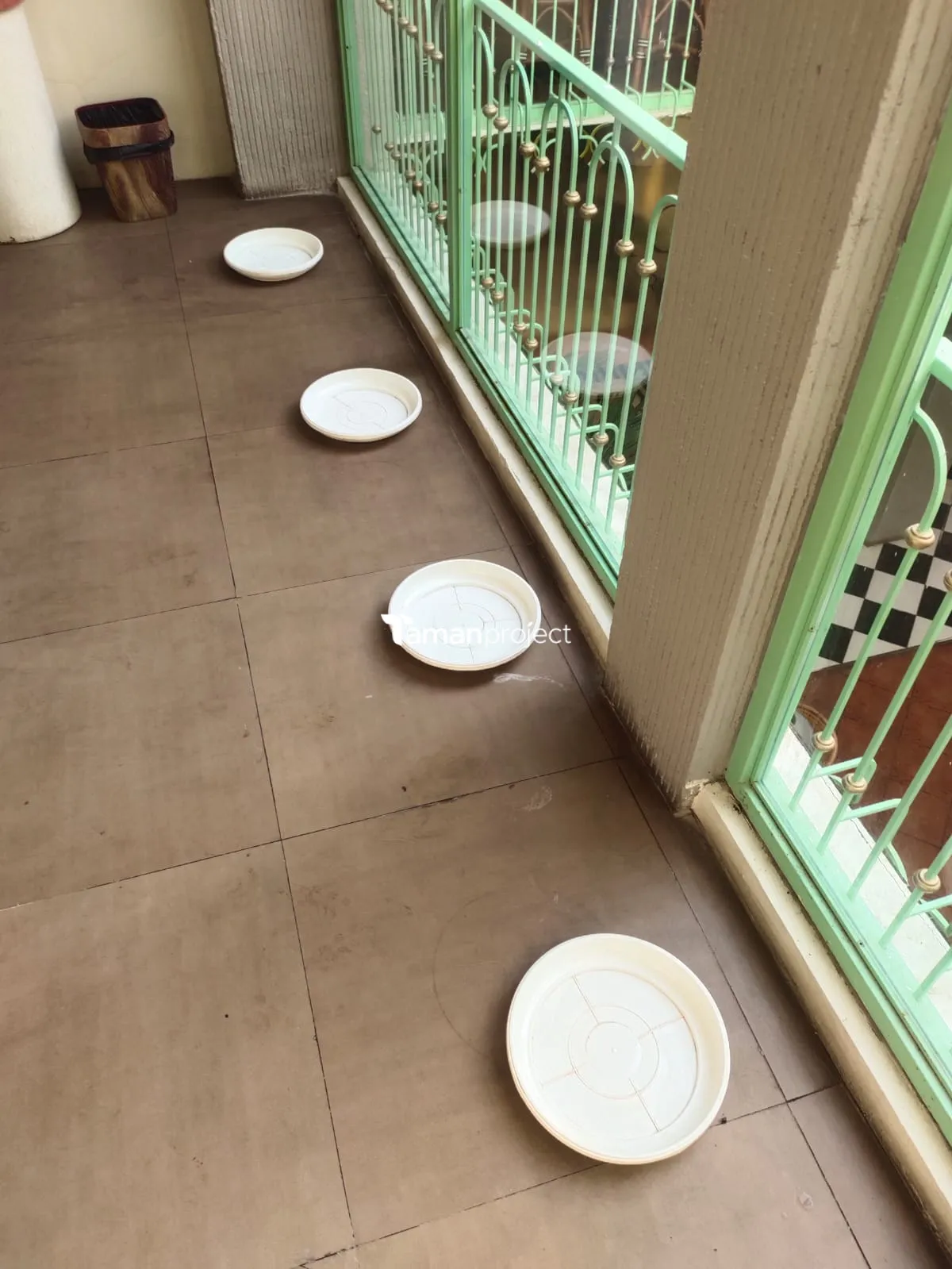 Proyek Perawatan Tanaman Indoor di Roti Romi Menteng