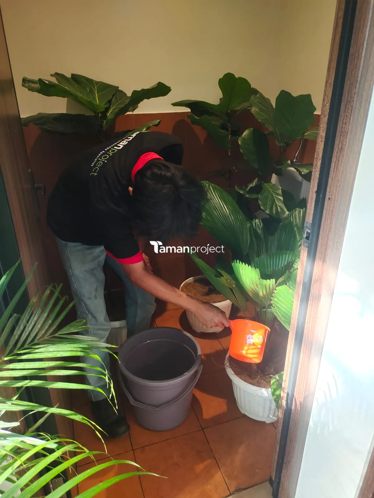 Proyek Perawatan Tanaman Indoor di Roti Romi Menteng
