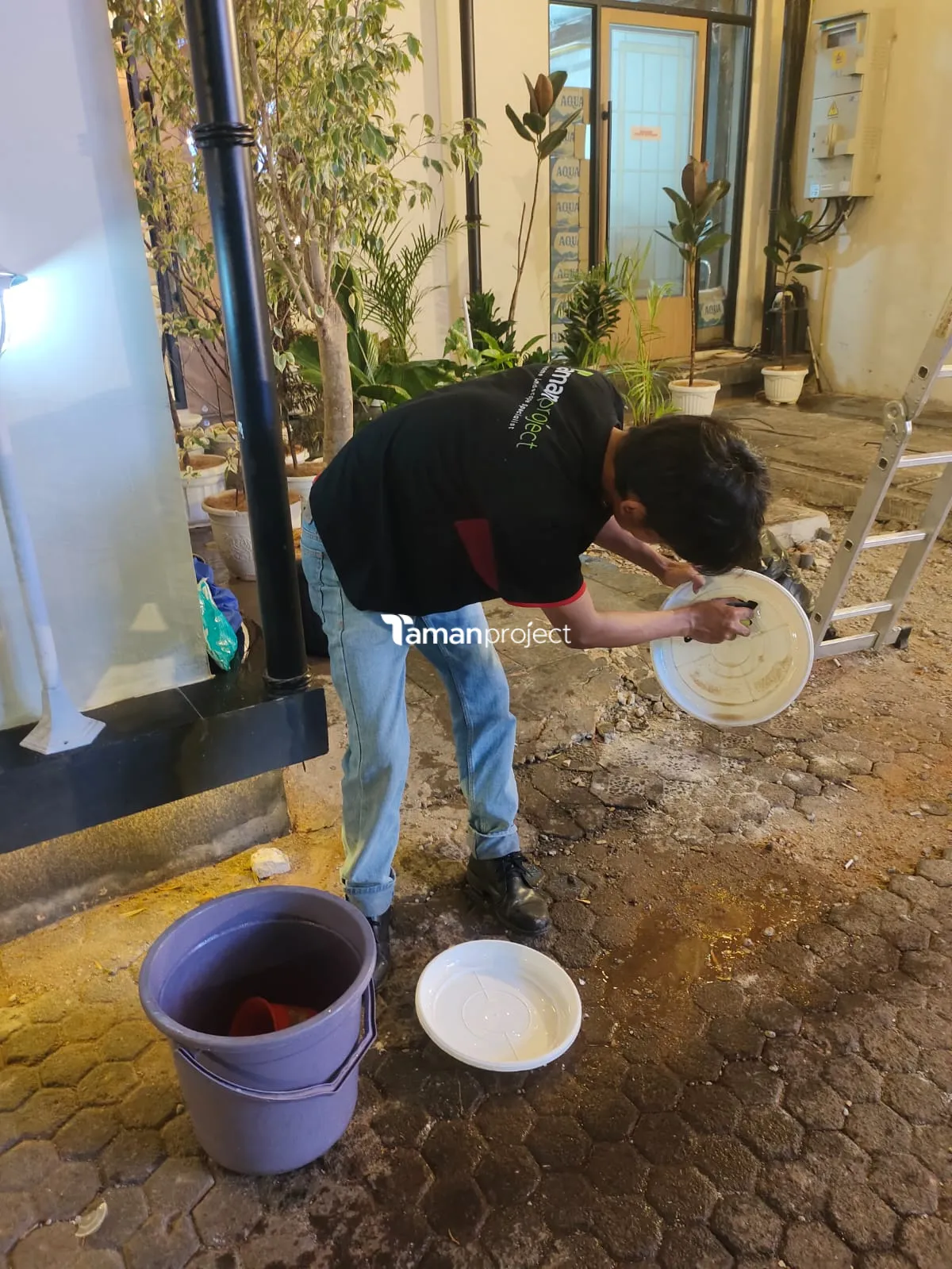 Proyek Perawatan Tanaman Indoor di Roti Romi Menteng