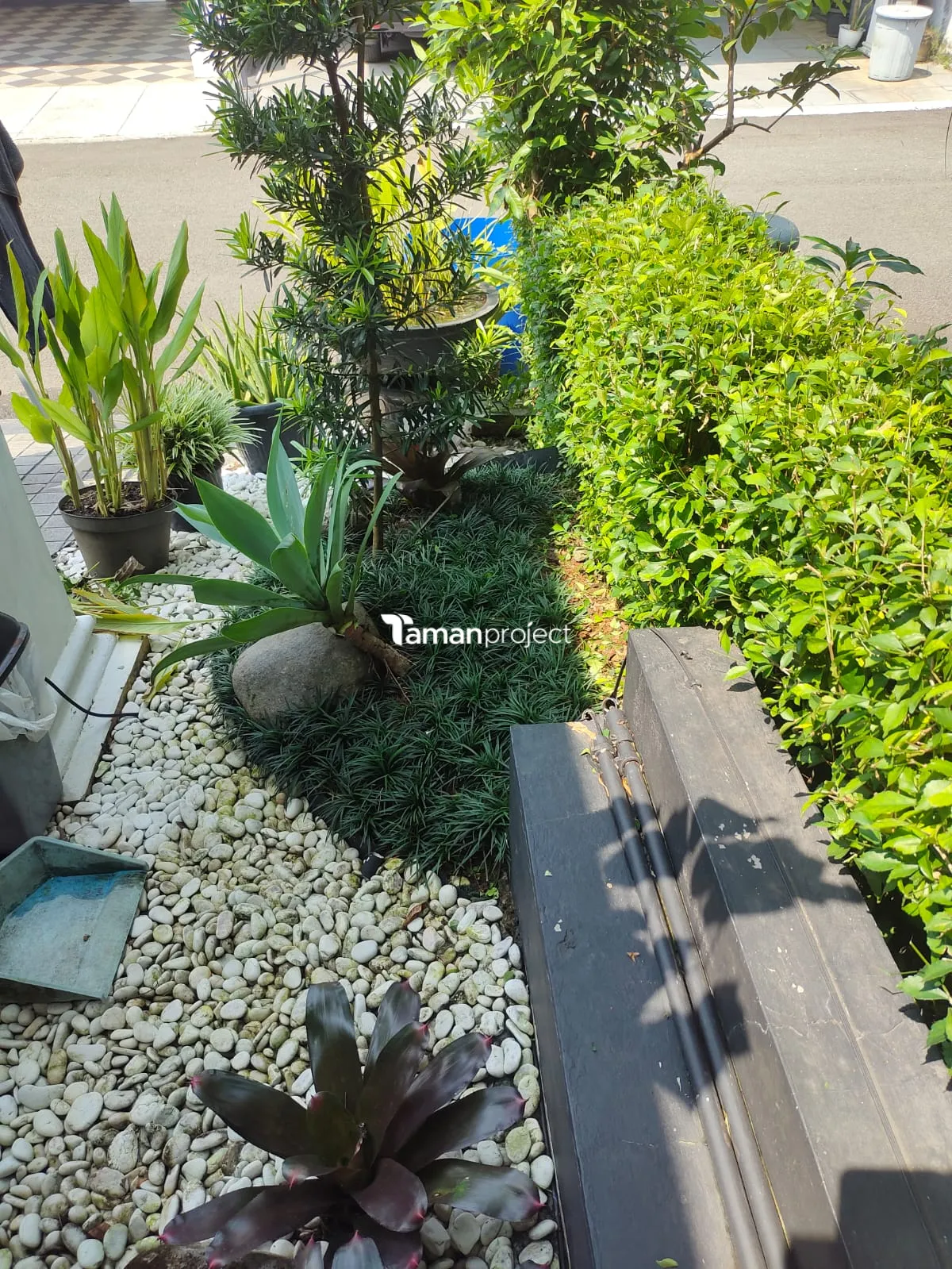 Proyek Perawatan Taman di Victoria River BSD Ibu Angela