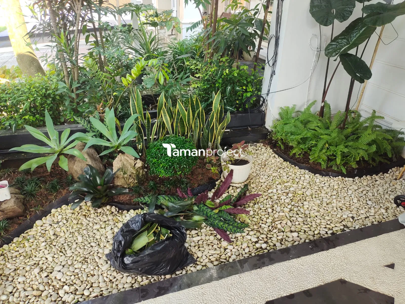 Proyek Perawatan Taman di Victoria River BSD Ibu Angela