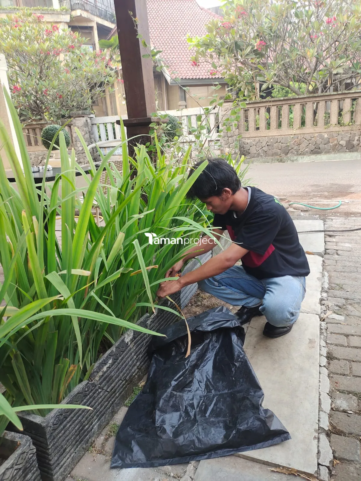 Proyek Perawatan Tanaman di Roti Romi Kemang
