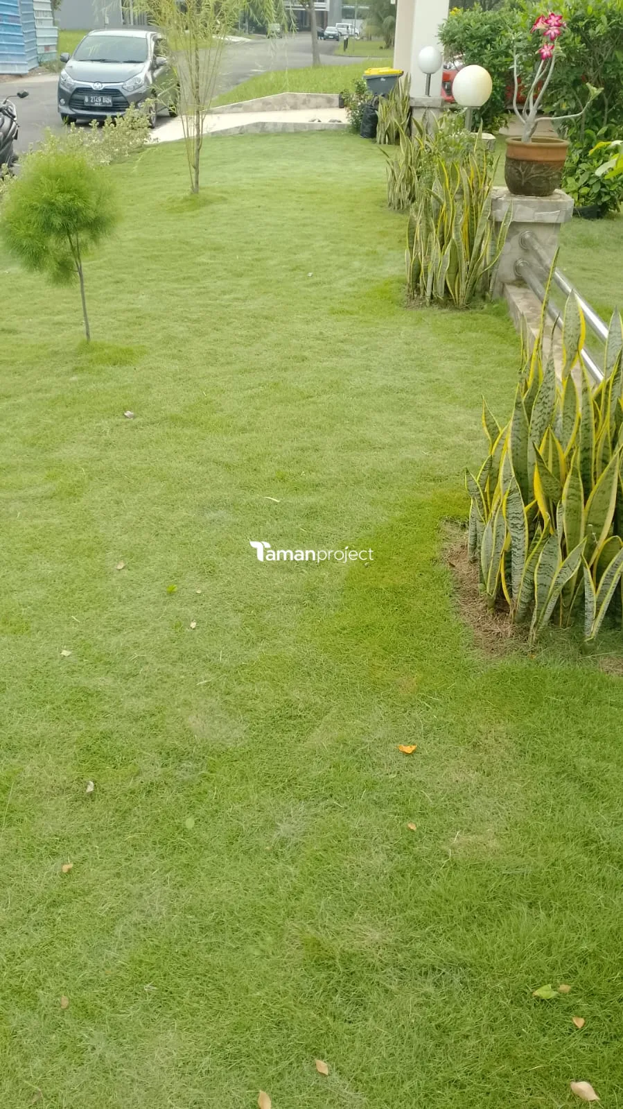 Proyek Perawatan Taman di Mentari Utama Alam Sutera Pak Heely Adisuhanto