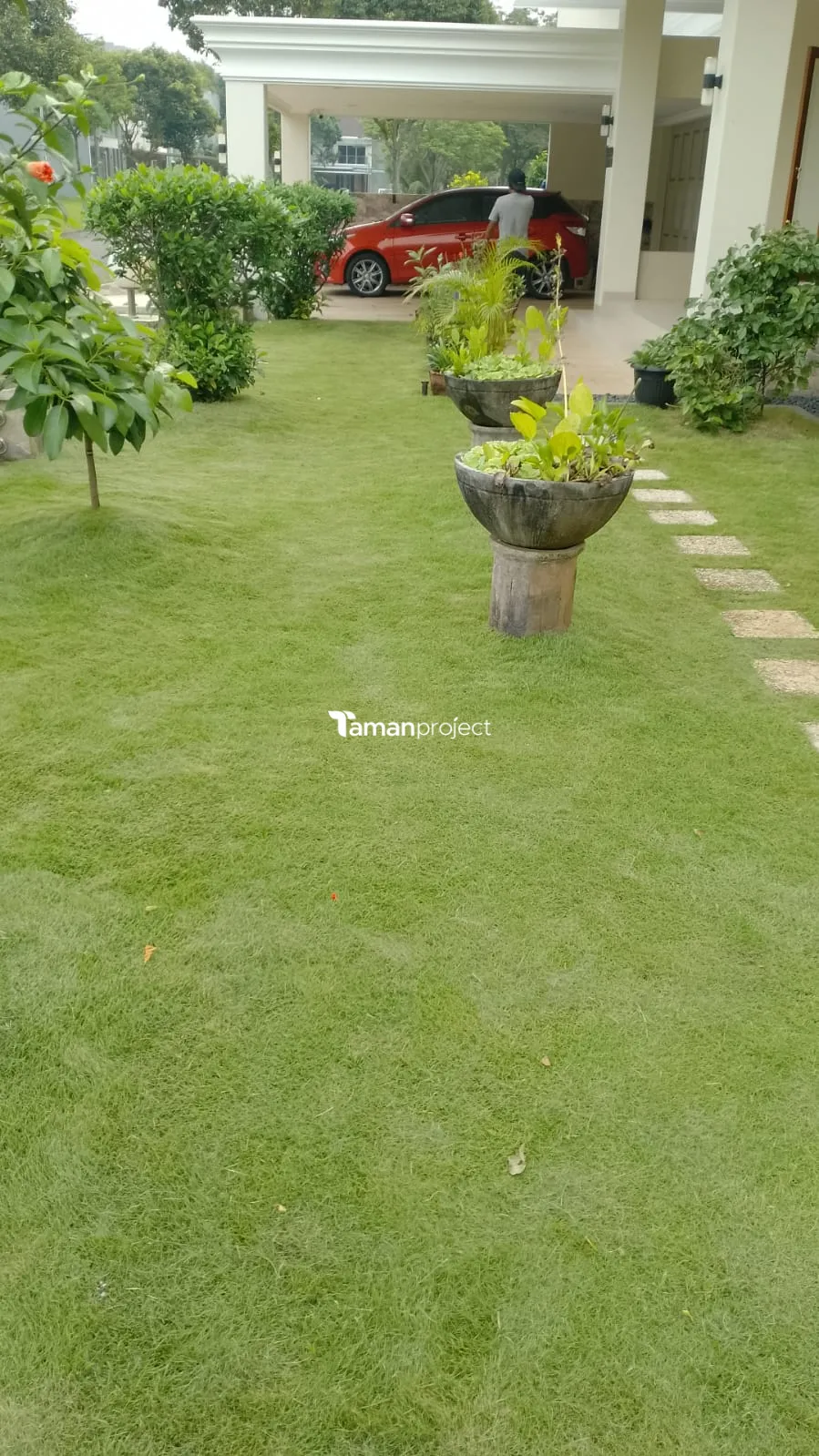 Proyek Perawatan Taman di Mentari Utama Alam Sutera Pak Heely Adisuhanto